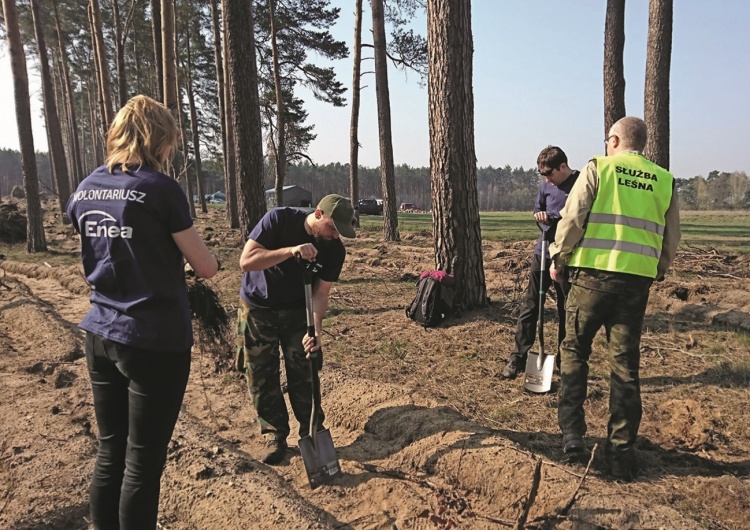 Enea EkoProjekty – całoroczne inicjatywy w trosce o środowisko