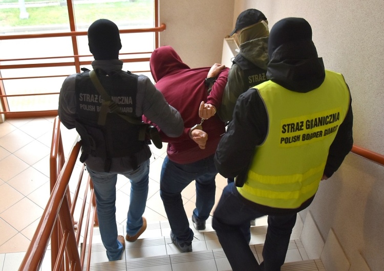 SG Europol i Straż Graniczna rozbijają polską grupę przemytników ludzi