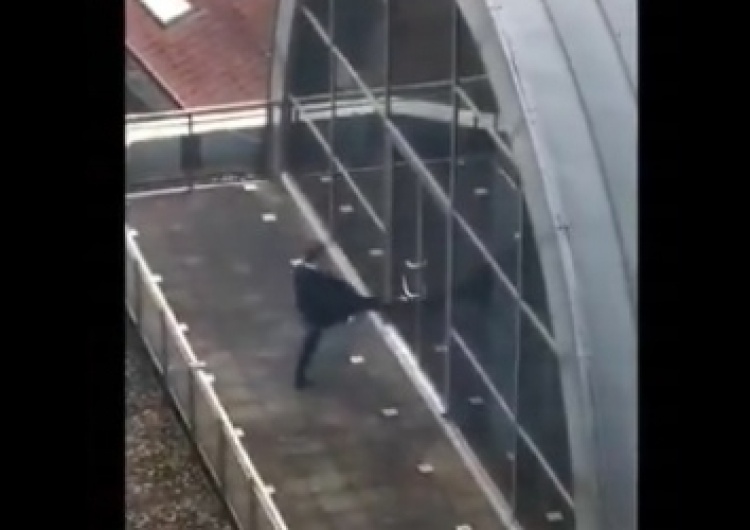 "Pan ćwiczy kopnięcie a'la Bruce Lee?". - "Szkoda, że Pan nie pomógł". Europoseł w niecodziennej sytuacji