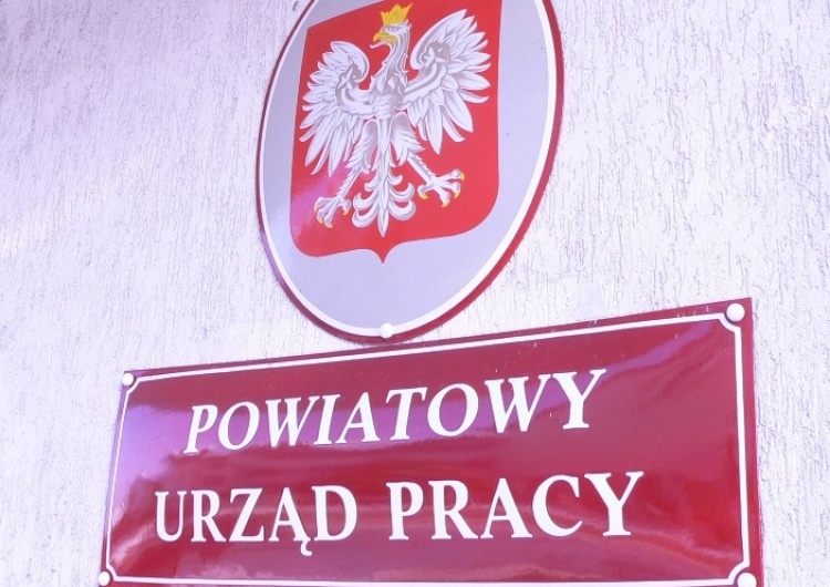  Urzędy pracy do likwidacji?