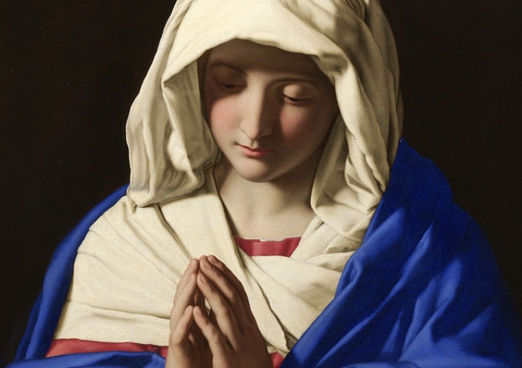  W niedzielę 8 grudnia 2019 r. świętujemy uroczystość Niepokalanego Poczęcia Najświętszej Maryi Panny