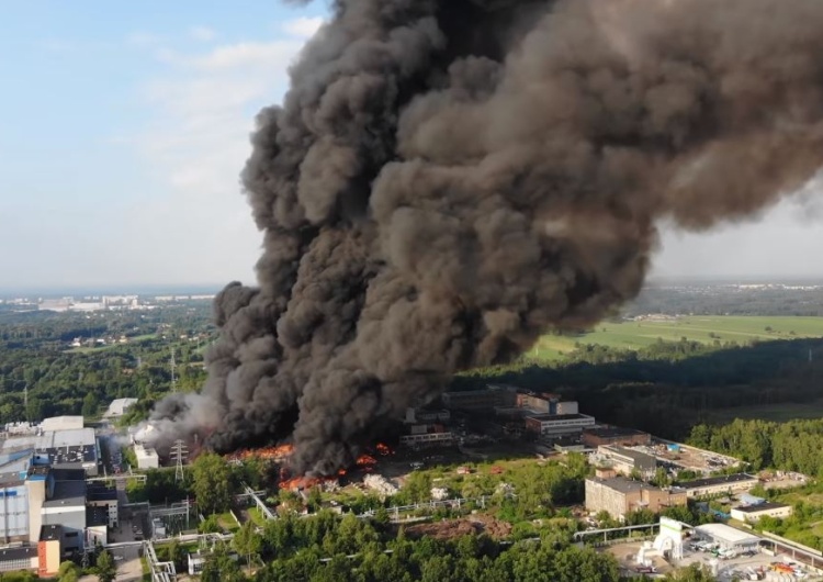Ekolog: Środowiska ekologiczne straszą katastrofą w przyszłości, a Niemcy DZIŚ kolonizują nas i trują