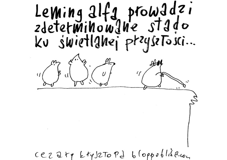 Ewa Zarzycka dla "TS": Bajka na przebudzenie