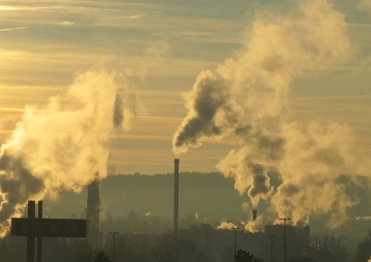 Na XXII wiek „Gazeta Wyborcza” prognozuje Polskę bez sosen, świerków i... Polaków