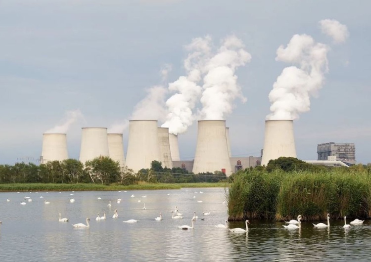 Polska dużym beneficjentem funduszu klimatycznego. Minister: „Potwierdzenie naszej wyjątkowej sytuacji"