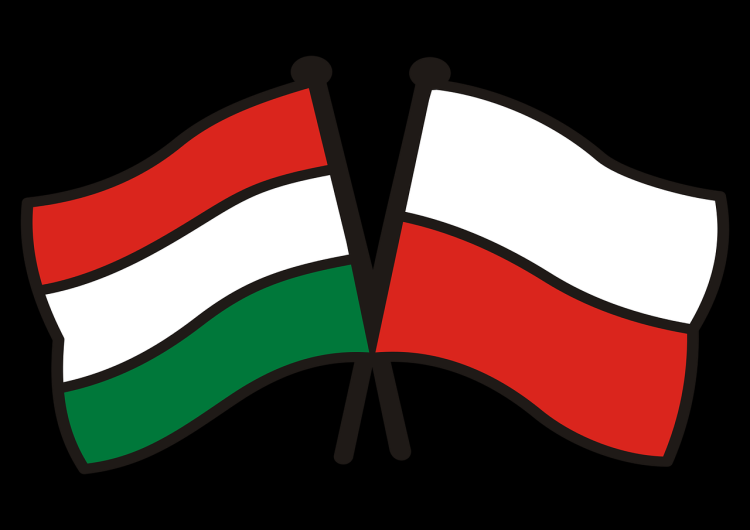 Wymowne. Wzrost produkcji przemysłowej w listopadzie 2019 r. Na czele Polska i Węgry i długo nic...