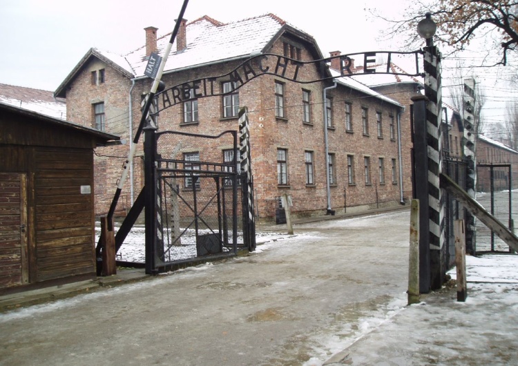 Wikimedia Ważna akcja "RDI" w przededniu rocznicy wyzwolenia obozu w Auschwitz. Listy do 8000 redakcji