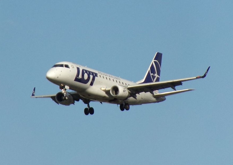 LOT wchodzi na podwórko Lufthansy? Polska Grupa Lotnicza zamierza kupić niemieckie linie Condor Airlines