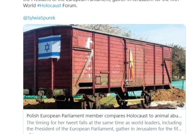 Ups. Jerusalem Post o tłicie Spurek, która opublikowała grafikę krowy w pasiaku i z żółtą Gwiazdą Dawida