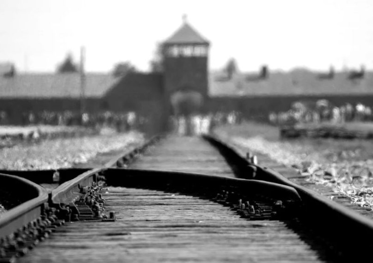"Po obchodach wyzwolenia Auschwitz w Jerozolimie odjęło nam mowę". Autorzy #GermanDeathCamps apelują