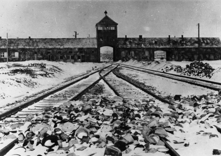 Stanisław Mucha Odpowiedzialni za niemieckie zbrodnie. IPN opublikował nazwiska esesmanów z KL Auschwitz