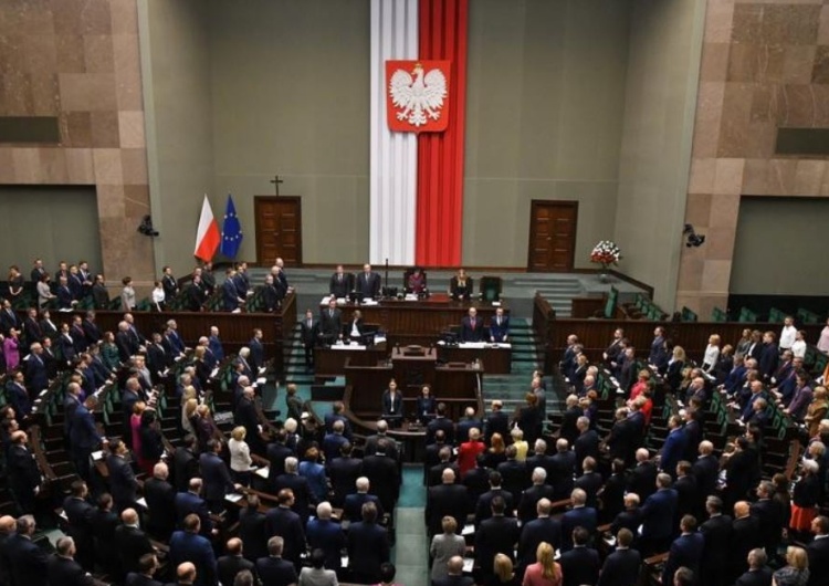  [Najnowszy sondaż] PiS twardo na czele. Konfederacja wyprzedza PSL