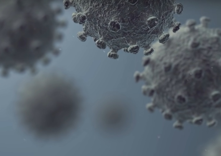 "Pożądane efekty uboczne. Mniejsza emisja CO2". Ekologiści zadowoleni z epidemii koronawirusa?