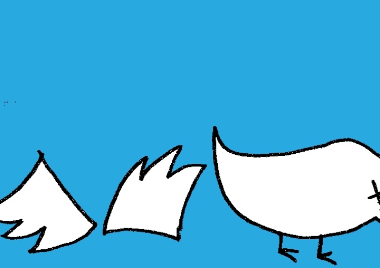 Ciekawe. Jak wyszukiwarka Twittera wyszukuje kandydatów na prezydenta? Dudę i Bosaka inaczej niż innych