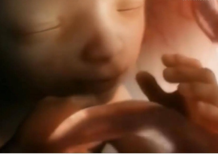 Screen Biedroń za aborcją do 12. tygodnia ciąży. Prawo chroniące życie nazywa "nieludzkim"