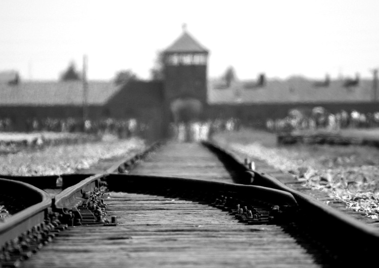 "Z ciężkim sercem jesteśmy zmuszeni...". Przełożono Marsz Żywych 2020 w Auschwitz