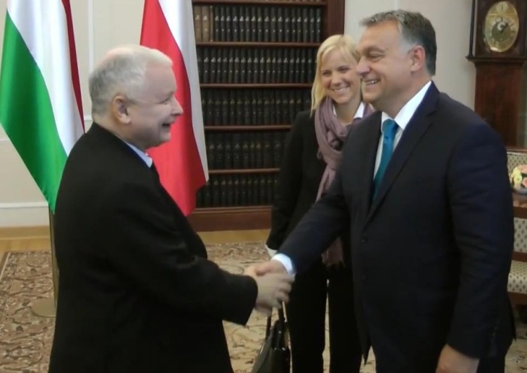  Francuski politolog: "Ludzie zadają sobie pytanie, czy jednak ten Orbán, ten Kaczyński nie mieli racji?"