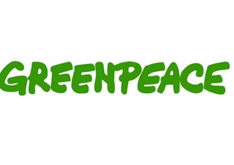  Greenpeace Polska nie miał kiedy zająć się awarią Czajki, ale owszem, zajmuje się polskimi wyborami