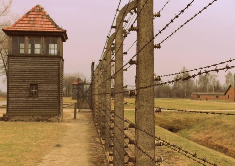  [video] Agencja AFP o pracy Muzeum Auschwitz na Twitterze: "Potężne narzędzie w edukacji o Holokauście"
