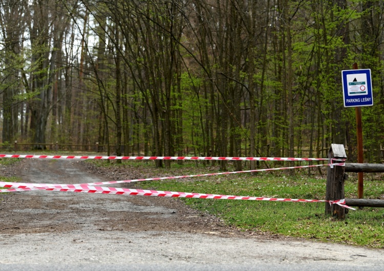 Rząd otwiera lasy, parki i tereny zielone. Minister wyjawił datę