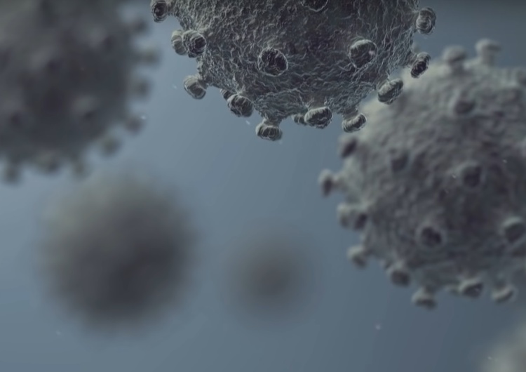 Screen Francuski noblista: koronawirus zawiera część materiału genetycznego wirusa HIV