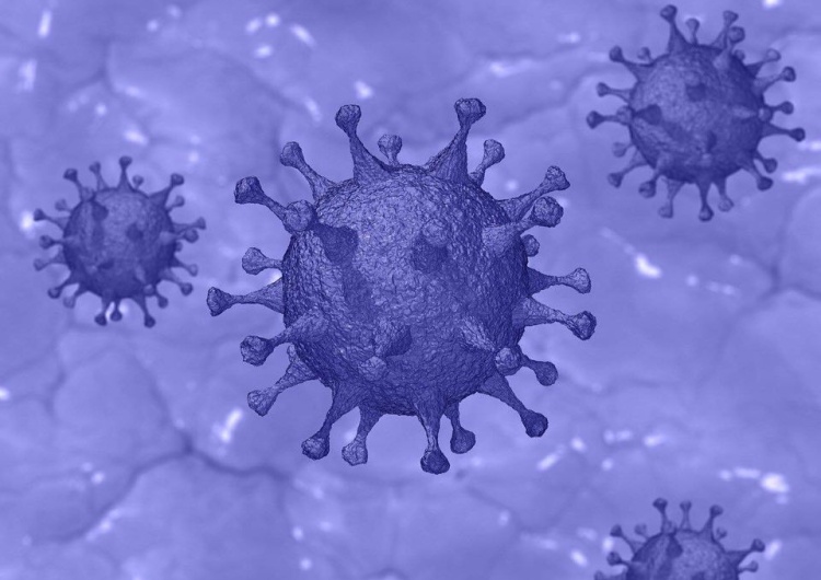  WHO: Pochodzenie koronawirusa na razie niemożliwe do sprecyzowania; Najgorsze przed nami