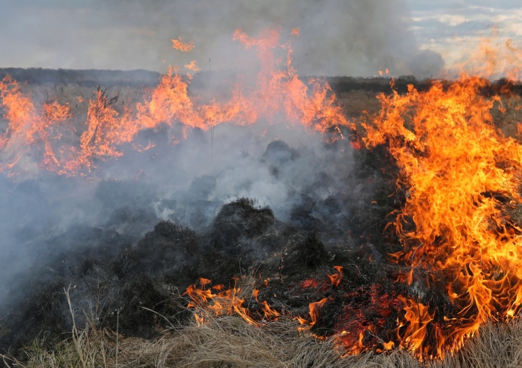  Pożar Biebrzańskiego Parku Narodowego obejmuje już blisko 4 tys. hektarów