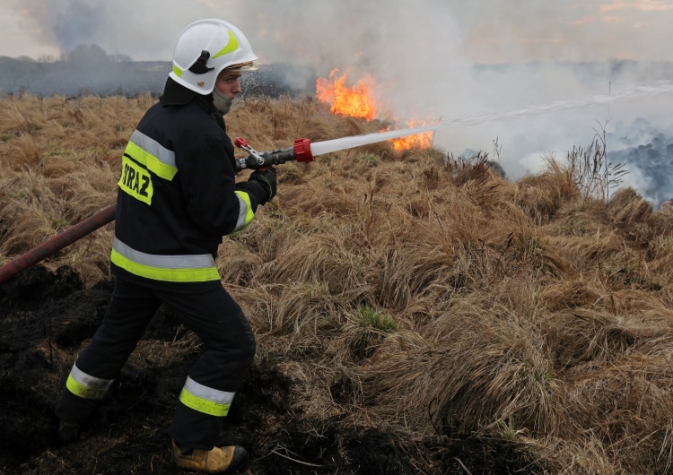  Pożar w Biebrzańskim Parku Narodowym. Szef MON opublikował zdjęcia ze śmigłowca. Ogromna skala zniszczeń