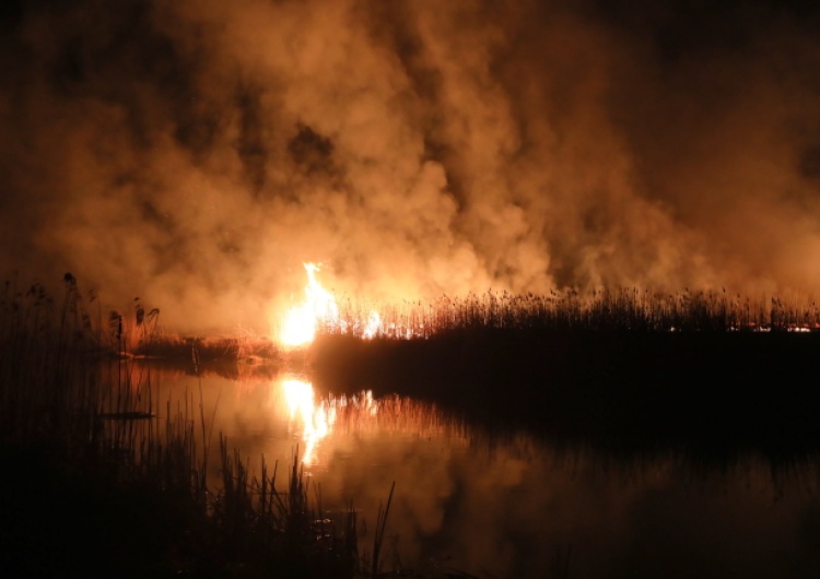  Nareszcie! Straż Pożarna: udaje nam się kontrolować obszar pożaru w Biebrzańskim Parku Narodowym