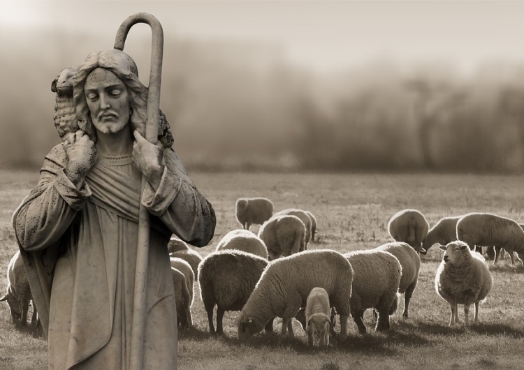  [video] Ewangelia na IV Niedzielę Wielkanocną (Niedzielę Dobrego Pasterza) z komentarzem