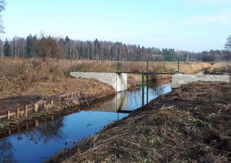 Zastawka na rzece Płoska w województwie podlaskim Retencja korytowa sposobem na suszę rolniczą
