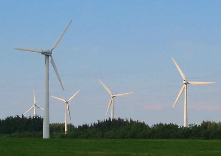 Norwescy ekolodzy: Niemcy nie chcą turbin wiatrowych w pobliżu swych domostw, więc budują je za granicą