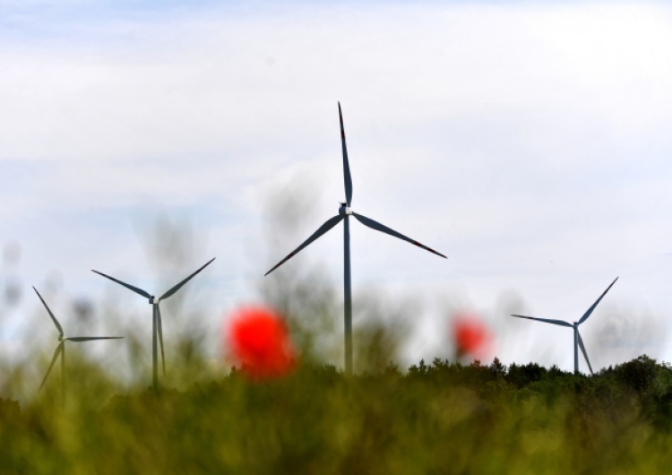  Grupa PGE otworzyła dwie farmy wiatrowe. Zasilą w energię miasto wielkości Lublina