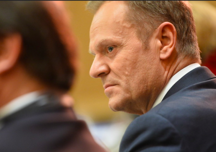Tusk komentuje dymisję Szumowskiego. Poseł PiS odpowiada: "Najlepiej wynagradzany hejter"
