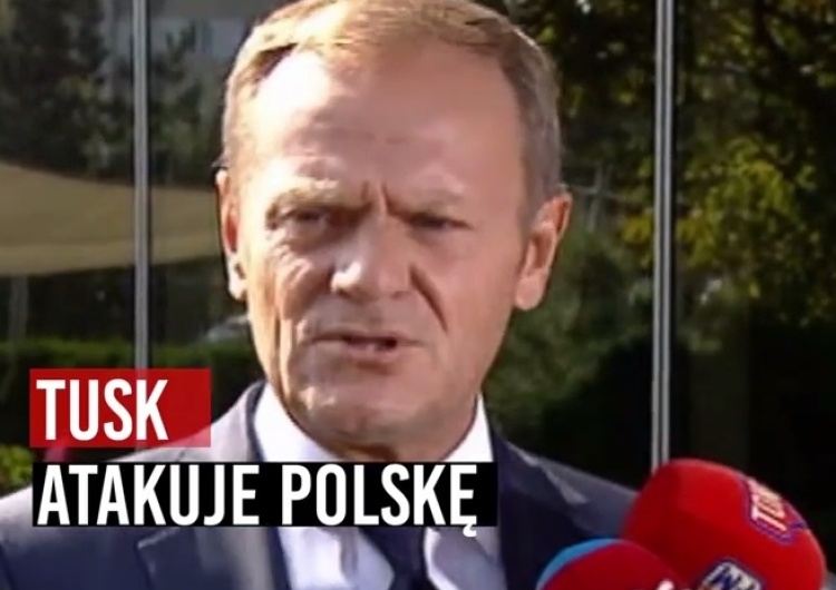 zrzut ekranu [video] PiS opublikował spot: "Jeden Donald wystarczy"