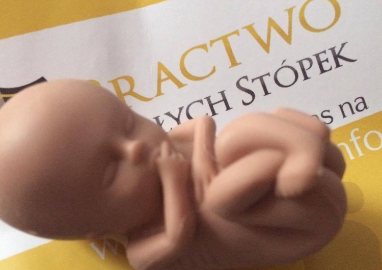 Atak "Głosu Szczecińskiego" na rekolekcje pro-life Bractwa Małych Stópek