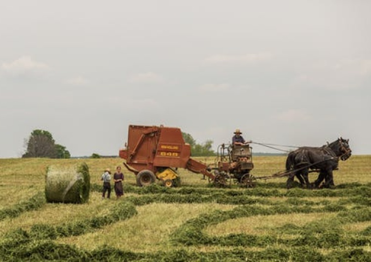  Pracownicy sezonowi chronieni przez unijną dyrektywę