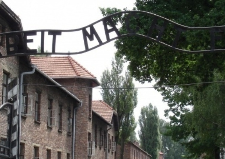  Skandal w Auschwitz. Rozebrali się do naga przed bramą obozową