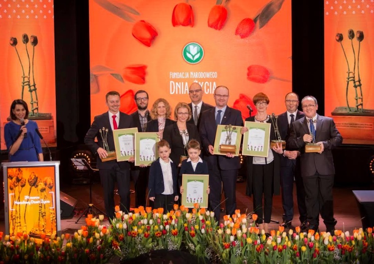 Tulipany Narodowego Dnia Życia