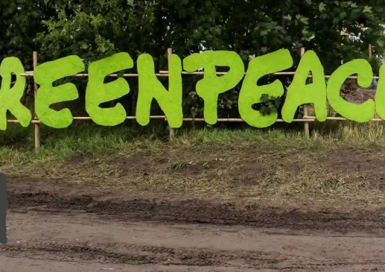 Apel Greenpeace. Marnujemy za dużo żywności