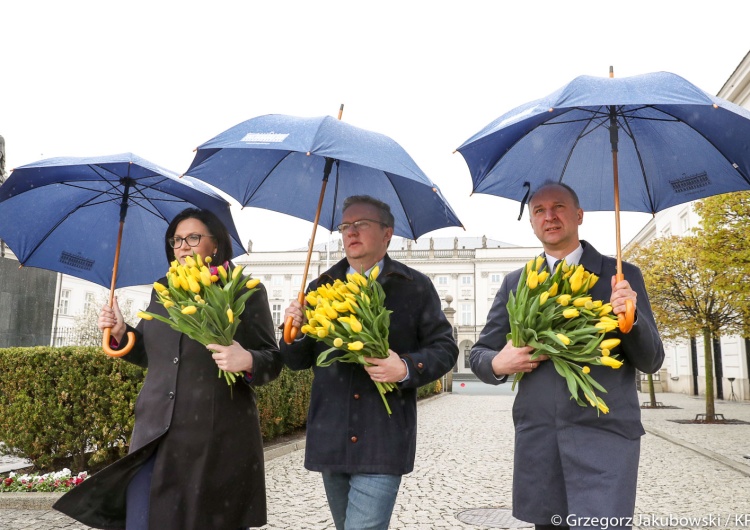  Tulipany ku czci śp. Marii Kaczyńskiej