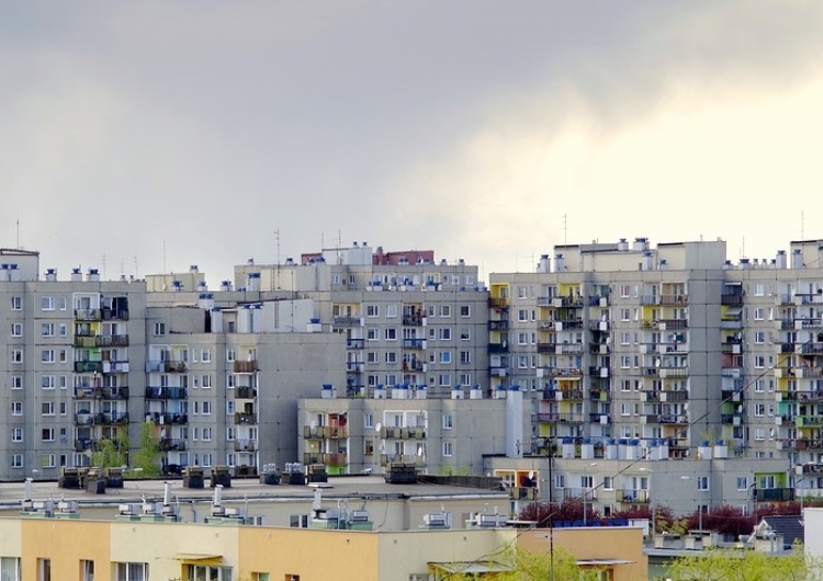  Ekspert Klubu Jagiellońskiego: Deweloperzy i banki nie muszą się bać programu Mieszkanie Plus