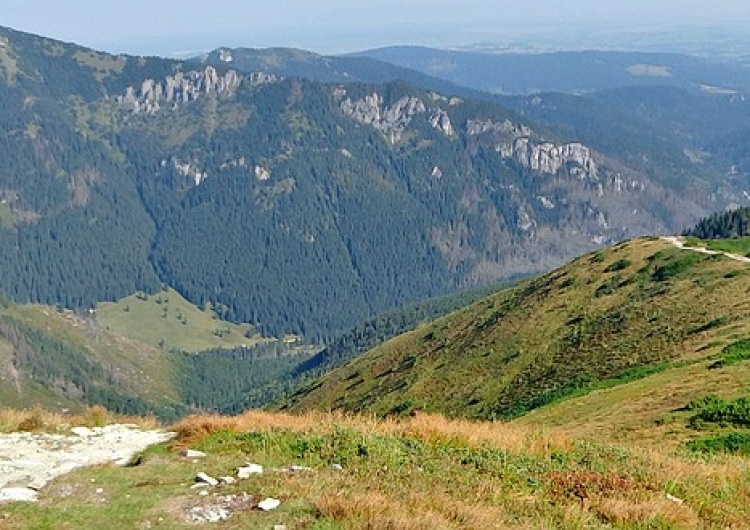 DzidekLasek prof. Zbigniew Witkowski: Ochrona parków narodowych w Polsce jest niewystarczająca