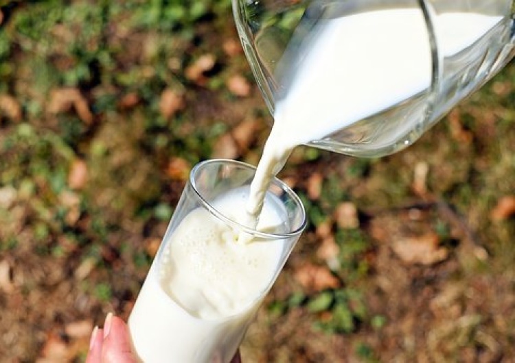  Mleko wraca do łask Polaków. Spożycie wzrosło o 4,5 proc.
