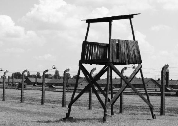 List protestacyjny przeciwko działalności historyka oskarżającego Polaków o współudział w Holocauście