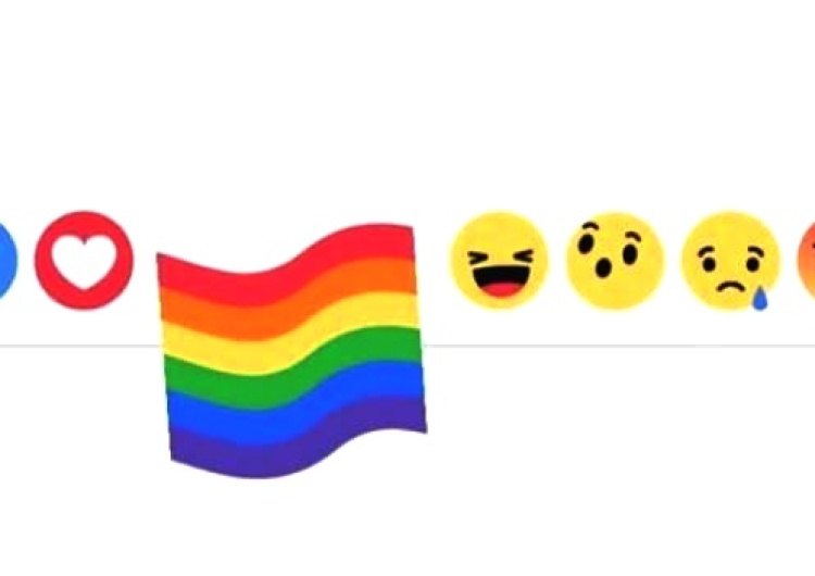 zrzut ekranu Facebook świętuje "miesiąc dumy" ze środowiskiem LGBT. Z tej okazji wprowadził nową reakcję