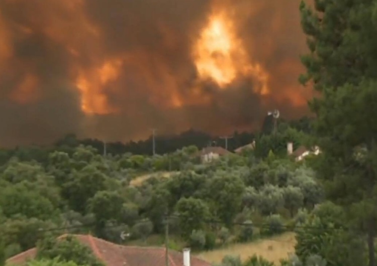  Olbrzymie pożary przetaczają się przez Portugalię. Liczba ofiar wciąż rośnie