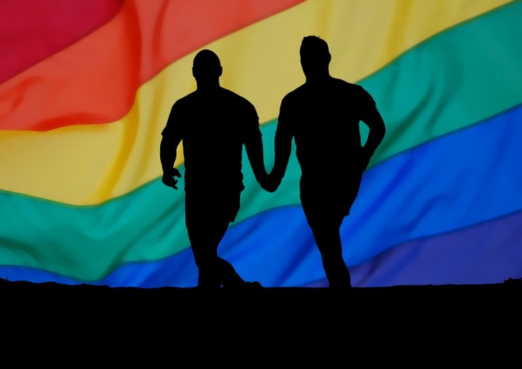 Ordo Iuris: ONZ narzuci adopcję dzieci przez homoseksualistów