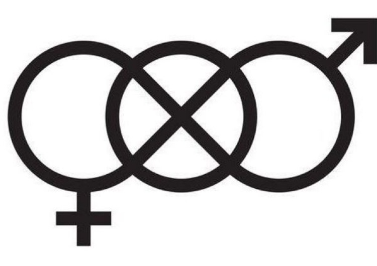  W Finlandii powstał symbol na oznaczenie neutralnej płciowo toalety