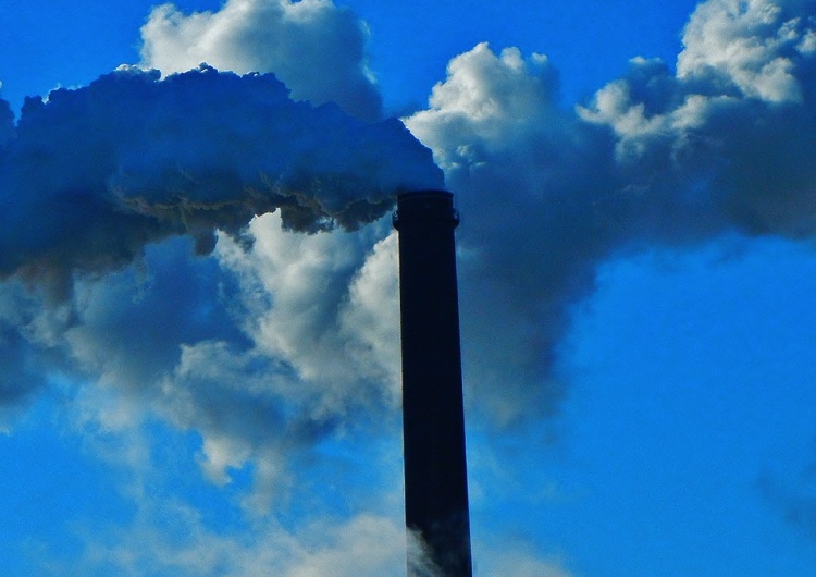  Udary, choroby serca i rak płuc - 92 proc. mieszkańców Ziemi oddycha zanieczyszczonym powietrzem